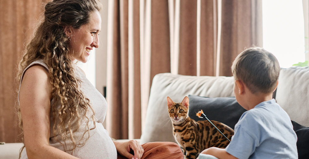 Neonati e gatti in casa: consigli per una serena convivenza