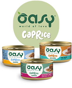 oasy caprice