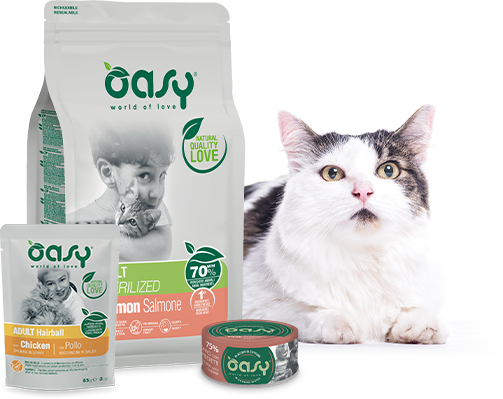 alimenti per gatti Oasy