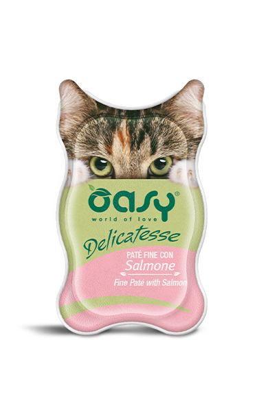 paté fine con salmone cibo umido per gatti Oasy