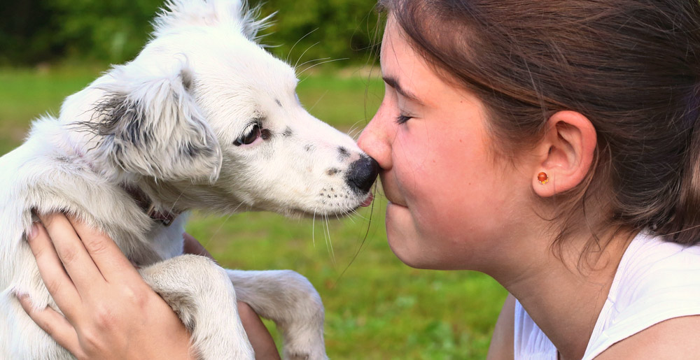 L’odore del proprietario per un cane