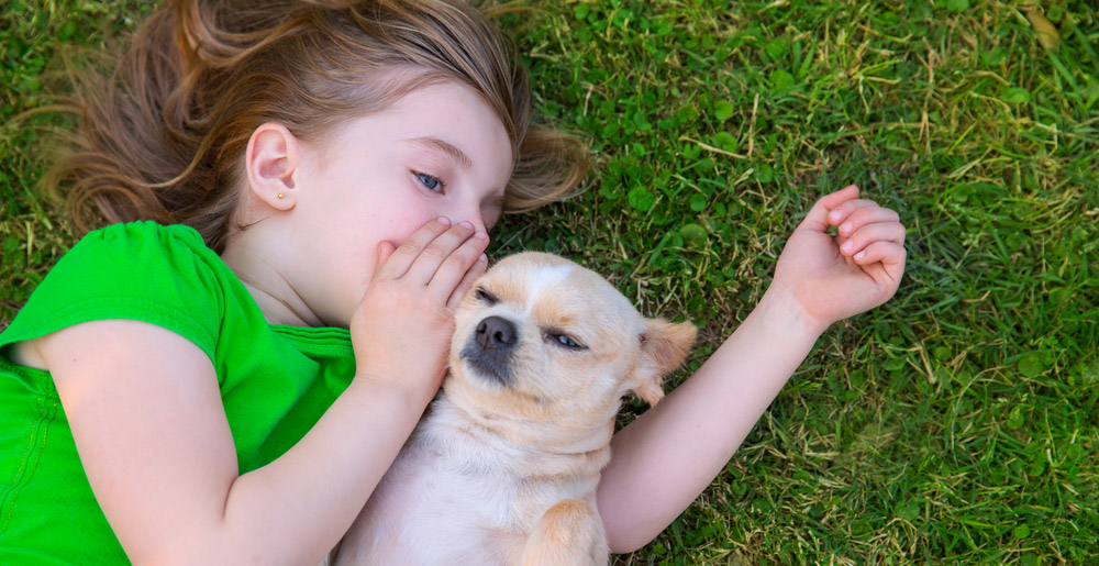 Can dogs understand what we tell them?