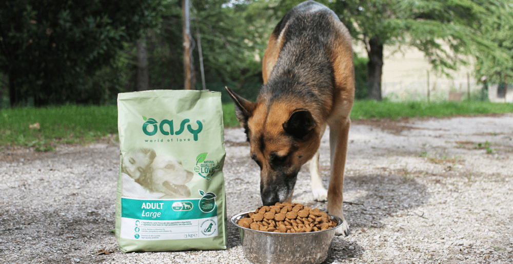 Dry Dog Foods: Maintaining High Quality Nutrients in Fresh Meat