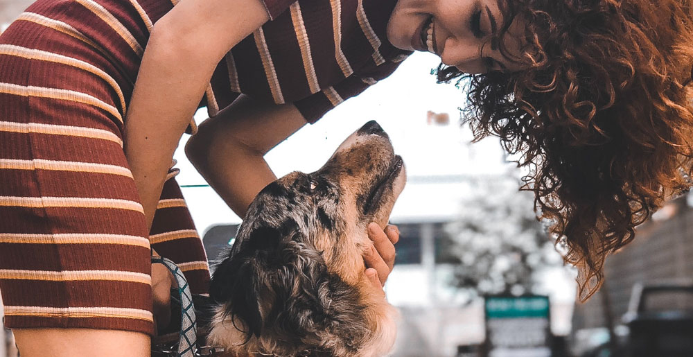 Dogs in love: fact or fantasy?