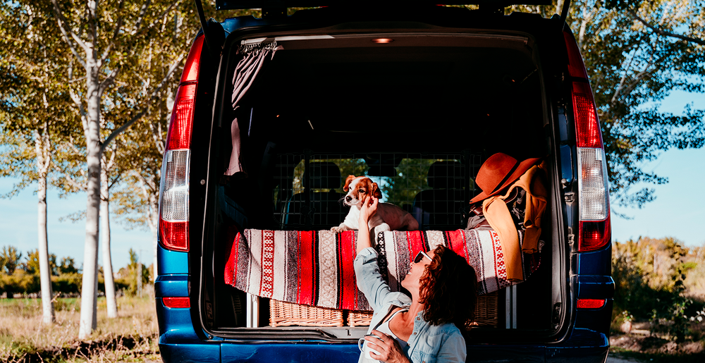 Viaggiare in auto con il proprio cane: 5 consigli utili