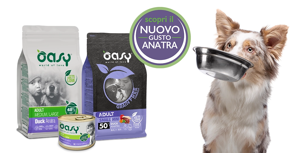 Scopri il nuovo gusto Anatra negli Oasy per cani