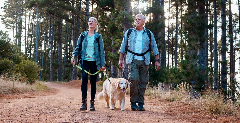 Gita in montagna con il cane: quatto consigli utili