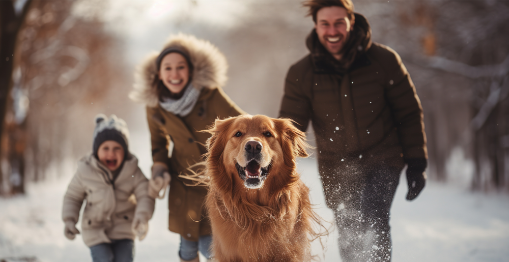 Cinque consigli per mantenere il cane attivo e sano in inverno