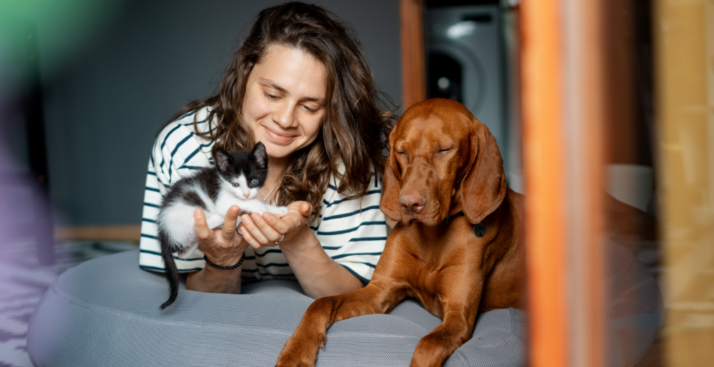 Come abituare il cane alla presenza del gatto