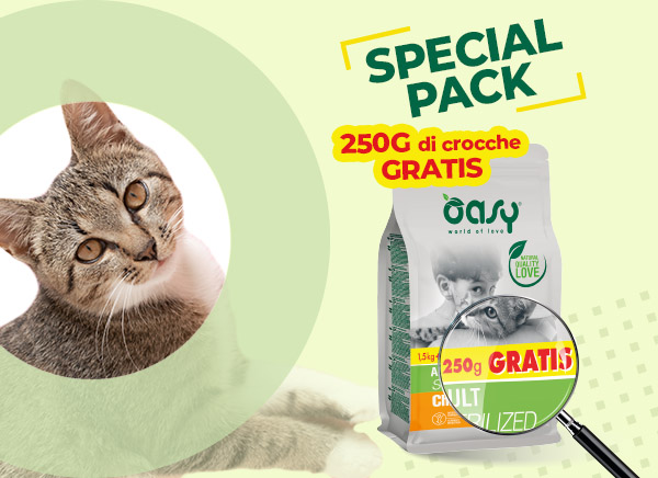 BONUS BAG GATTO