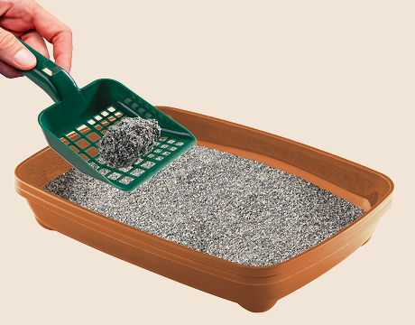 Lettiere Oasy Vegetal - new landing