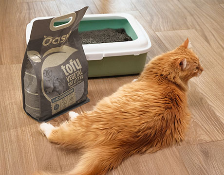 Lettiere Oasy Vegetal - new landing