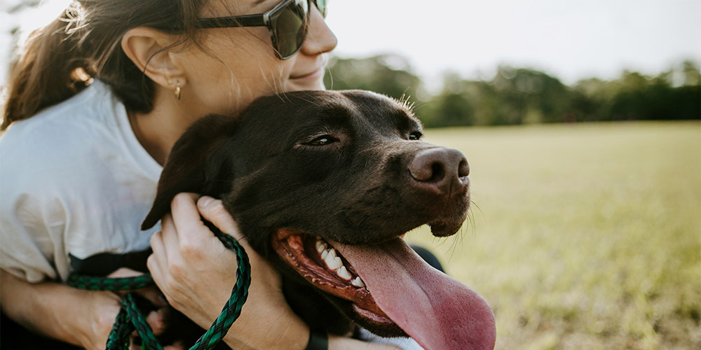 Giornata mondiale del cane: origine, significato e come celebrarla al meglio