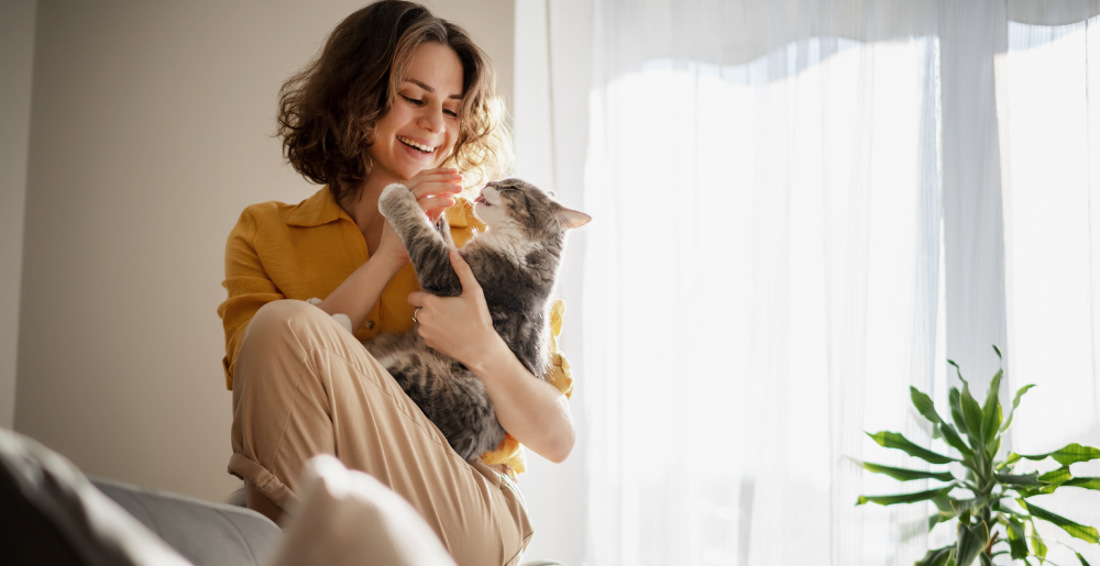 Toxoplasmosi, gatti e gravidanza: cosa sapere