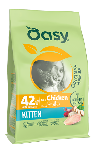 ORIGINAL • Kitten Chicken