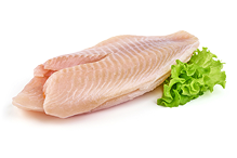 Linea Oasy Superior Formula Gatto