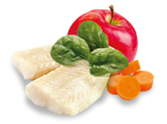 Linea Original Formula: nutrizione bilanciata per il tuo gatto!