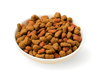 Linea Original Formula: nutrizione bilanciata per il tuo gatto!