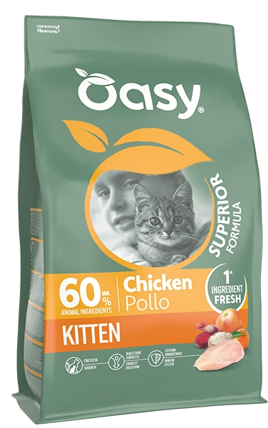 ORIGINAL • Kitten Chicken