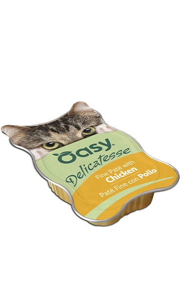 DELICATESSE • Paté Fine con Pollo