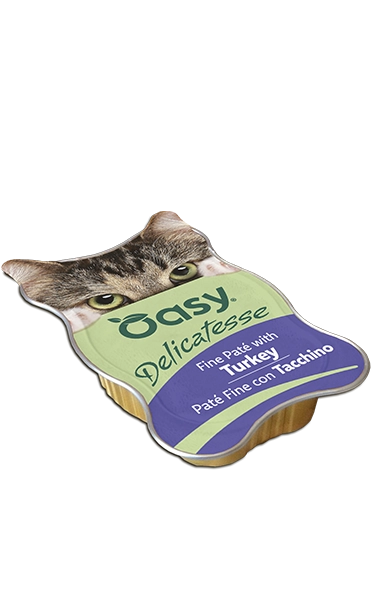 DELICATESSE • Paté Fine con Tacchino