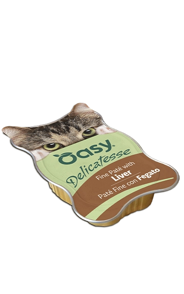 DELICATESSE • Paté Fine con Fegato